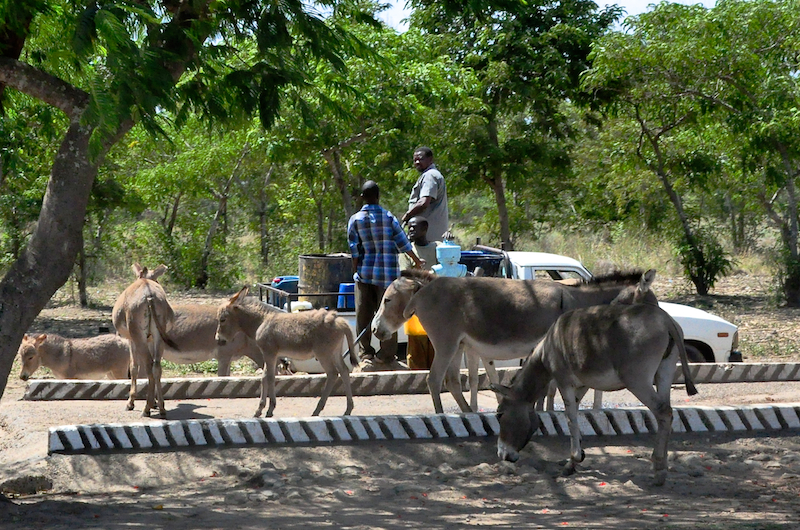 Melanie Heinrich - Travel Images - Nairobi Kenya -Arusha, Tanzania